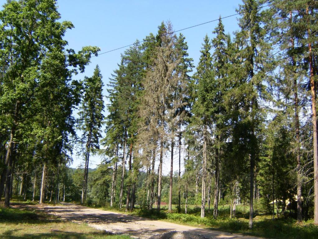 Kempings Ozolkalns Cēsis Exterior foto