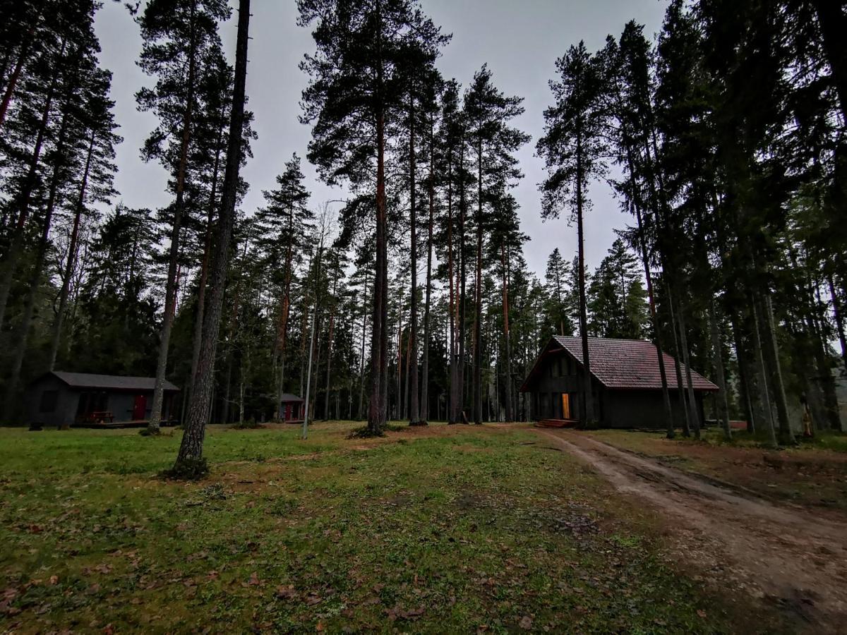 Kempings Ozolkalns Cēsis Exterior foto